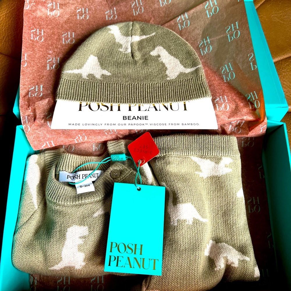 *BRAND NEW* POSH PEANUT ESSENTIALS GIFT BOX & BLANKET